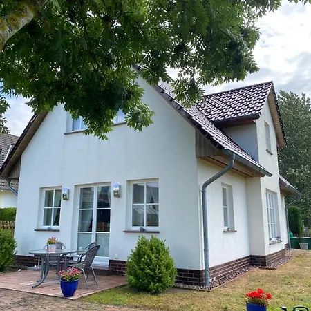 Bluetentraum In Auf Ruegen Binz